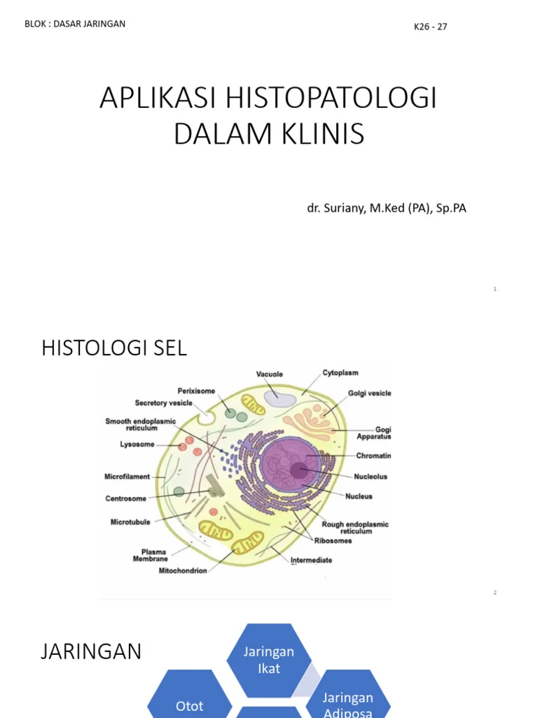 Aplikasi Klinis Emas dalam Kedokteran