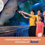 destinasi keluarga di Ancol Dreamland: Apa Saja yang Bisa Dinikmati?