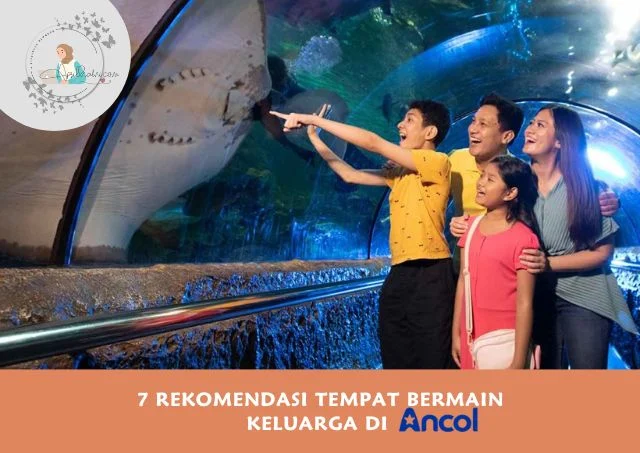 destinasi keluarga di Ancol Dreamland: Apa Saja yang Bisa Dinikmati?