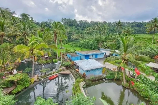 Destinasi Utama Wisata Eco‑Friendly di Bali