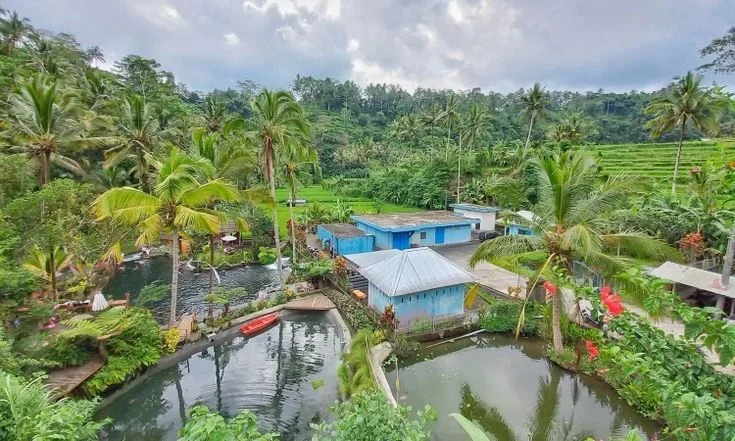 Destinasi Utama Wisata Eco‑Friendly di Bali