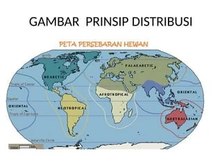 Estimasi Volume dan Distribusi Geografis