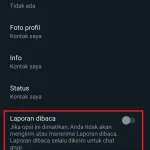 Langkah-Langkah Dasar Cara Menonaktifkan Centang Biru di WhatsApp