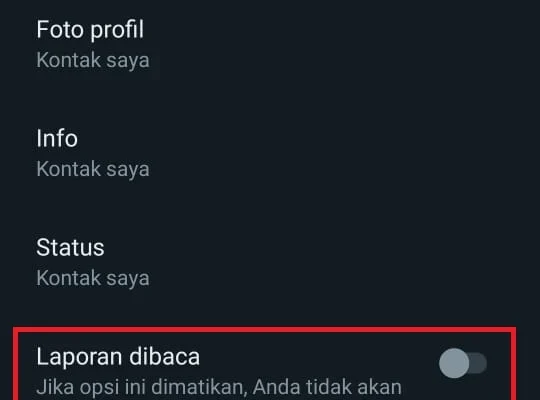 Langkah-Langkah Dasar Cara Menonaktifkan Centang Biru di WhatsApp