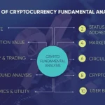 Langkah-langkah melakukan analisis fundamental pada koin crypto secara terstruktur