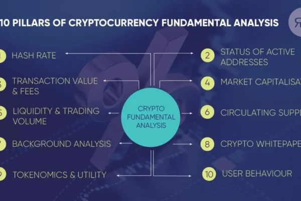 Langkah-langkah melakukan analisis fundamental pada koin crypto secara terstruktur