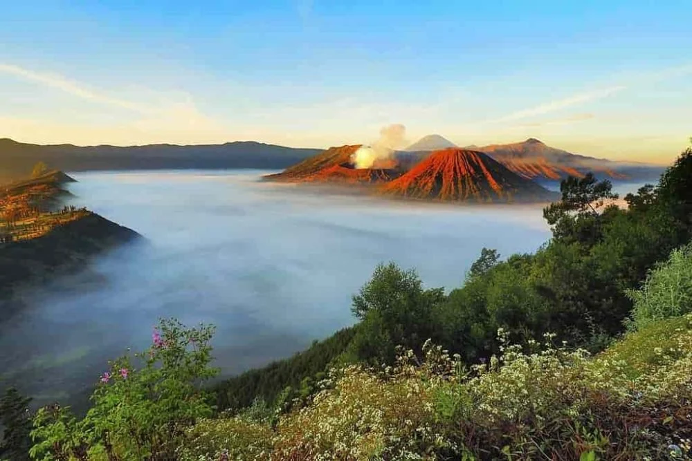 Menjaga Lingkungan Selama Rekreasi Keluarga di Taman Nasional Bromo Tengger Semeru