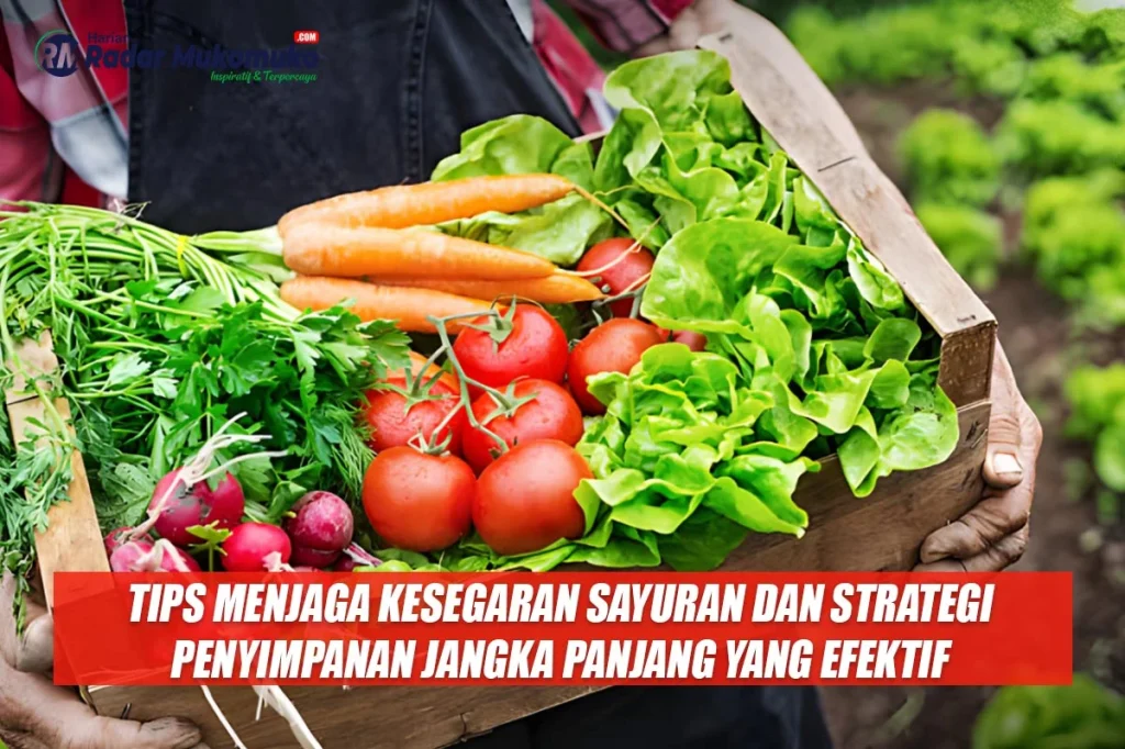 Strategi Penyimpanan yang Efektif