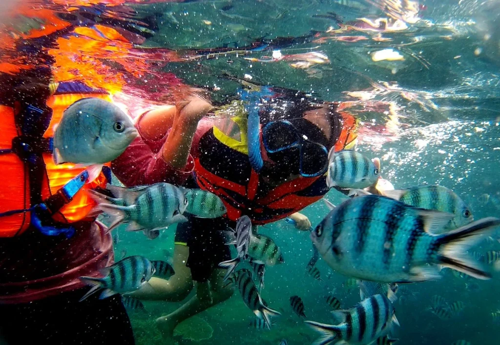 Tips Snorkeling Murah di Pulau Bangka agar Lebih Hemat