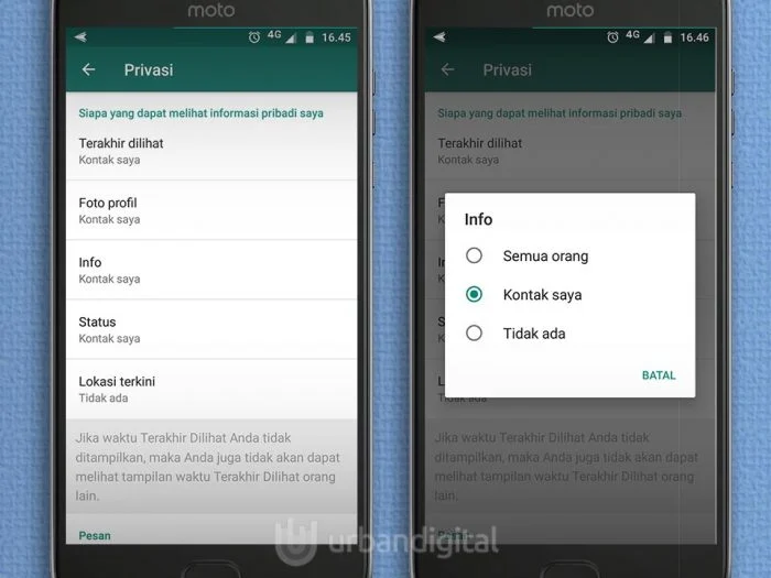 Tips Tambahan untuk Privasi di WhatsApp