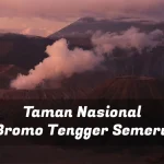 Tips Utama untuk Rekreasi Keluarga di Taman Nasional Bromo Tengger Semeru