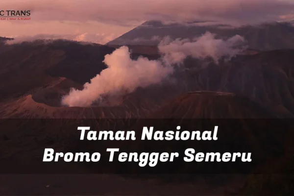 Tips Utama untuk Rekreasi Keluarga di Taman Nasional Bromo Tengger Semeru