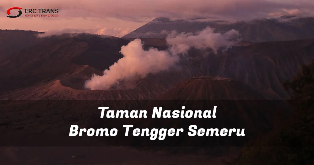 Tips Utama untuk Rekreasi Keluarga di Taman Nasional Bromo Tengger Semeru